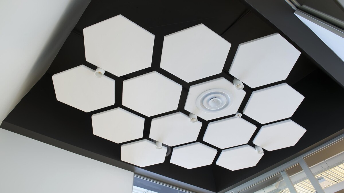 An Organic Approach to Acoustic Solutions